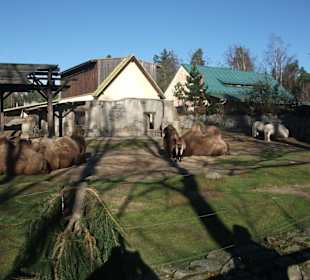 Zoo Liberec