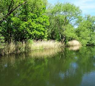 Impressionen vom Rundgang um den Südsee