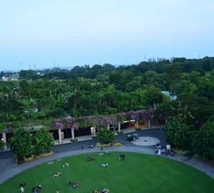 Gardens by the Bay