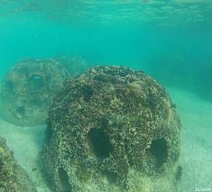 Schnorcheln Bayahibe