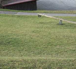Spielplatz am Sportplatz Ödenwaldstetten