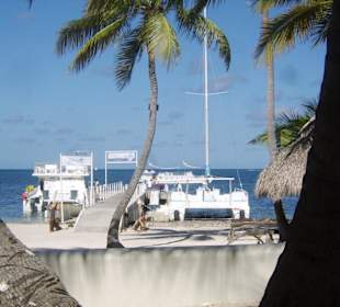 Ablegestelle zum Marinarium