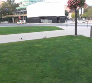 Oskar-Kalbfell-Platz