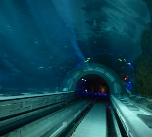 Aquarium mit Untersee-Station