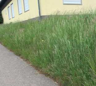 Schützengilde Grüntal-Frutenhof