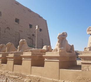 Marsa Alam Ausflüge 