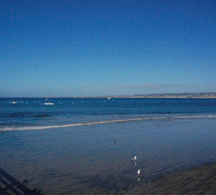 Old Fishermans Wharf, Monterey