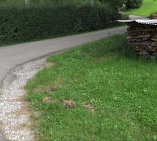 Sonnenaufgangs-Rundwanderung Rübgarten