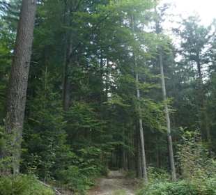 Wanderung am Silberberg