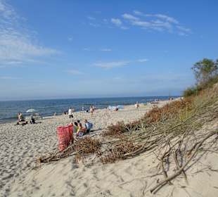 Plaża Wicie