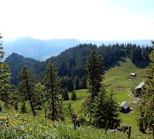 Grünten / Burgberger Hörnle