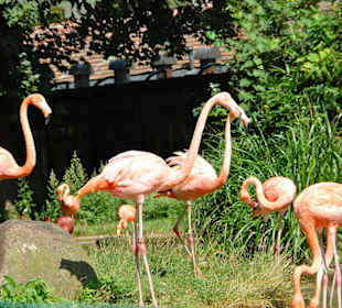 Tierpark Schönbrunn