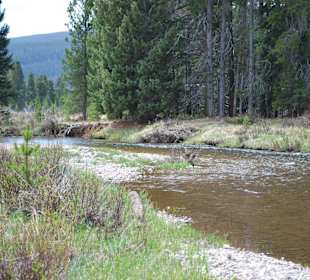 Der Urspung des Colorado River