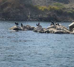 Bootsfahrt Nil Assuan