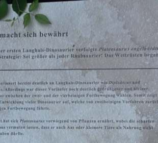 Dinosaurier Museum Altmühltal