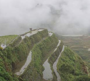 Reisterrassen Banaue