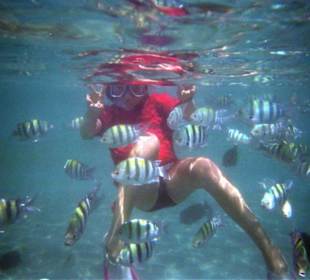 Steffi in freier Natur