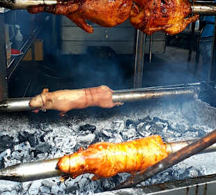 Cuy - Meerschweinchen