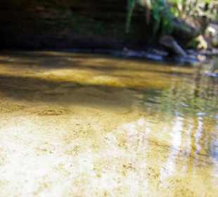 Der Bitterbach im Pegnitztal bei Nürnberg