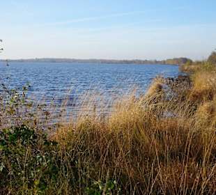 Ufer des Ewigen Meeres