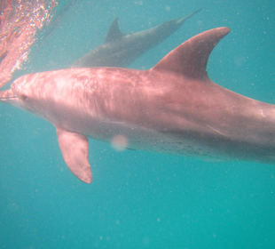 Als wenn er uns anlacht