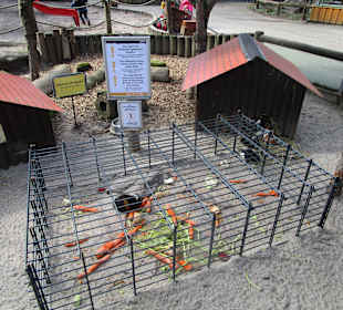 Zoo Landau