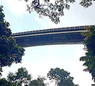 Henderson Waves Bridge