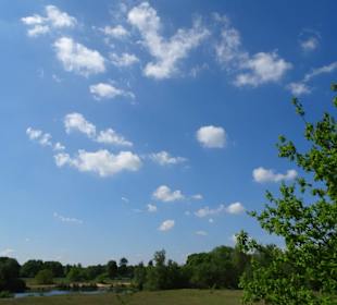 Spaziergang durch den Sandtrockenrasen Achim