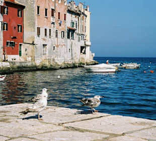 Urokliwy Rovinj