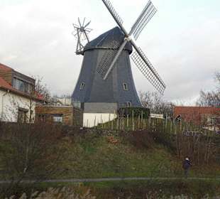 Hann. Personenschifffahrt Wappen von Hannover