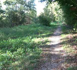 Baumlehrpfad Zollertal
