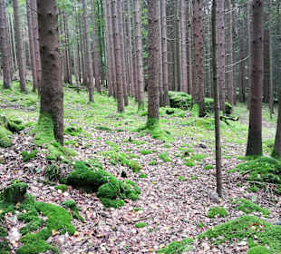 Wandern Lam