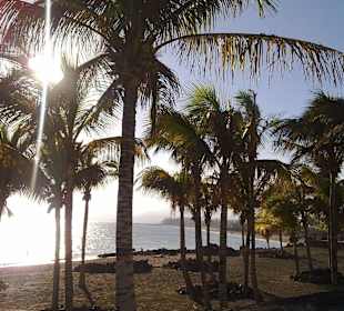 Promenade Puerto del Carmen 
