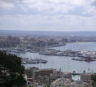 Palma