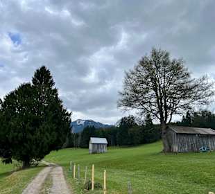 Wandern Bolsterlang