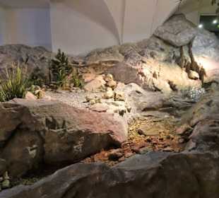 Wasser als Grundstock des Bieres