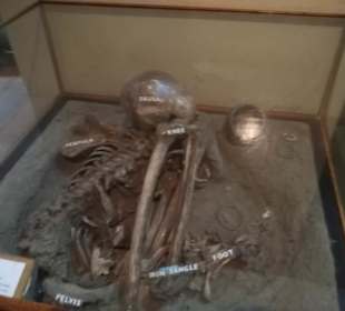 Im Livingstone Museum Dorfnachbau