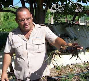 Kroko