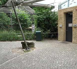 Tierpark Hellabrunn