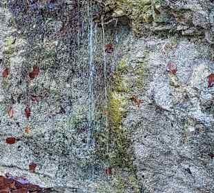 Wandern Sankt Wolfgang im Salzkammergut