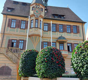 Rathaus 