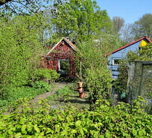 Gartenparadiese in der Dauerkolonie Annateich