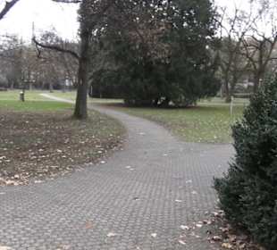 Altstadt 