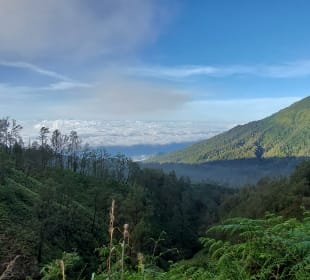 Vulkan Ijen