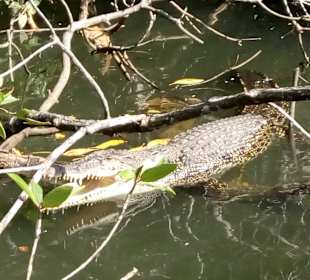 Wandern Beruwala