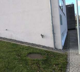 Evangelisches Gemeindehaus Eglingen