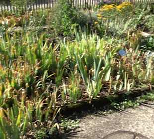 Klosterkirche Maria Gnadenzell