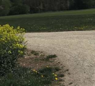 Hochgehsiedelt am Heidengraben