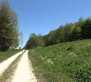 Magolsheimer Buchtalweg