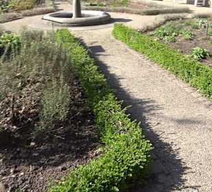 Apothekergarten Ettlingen